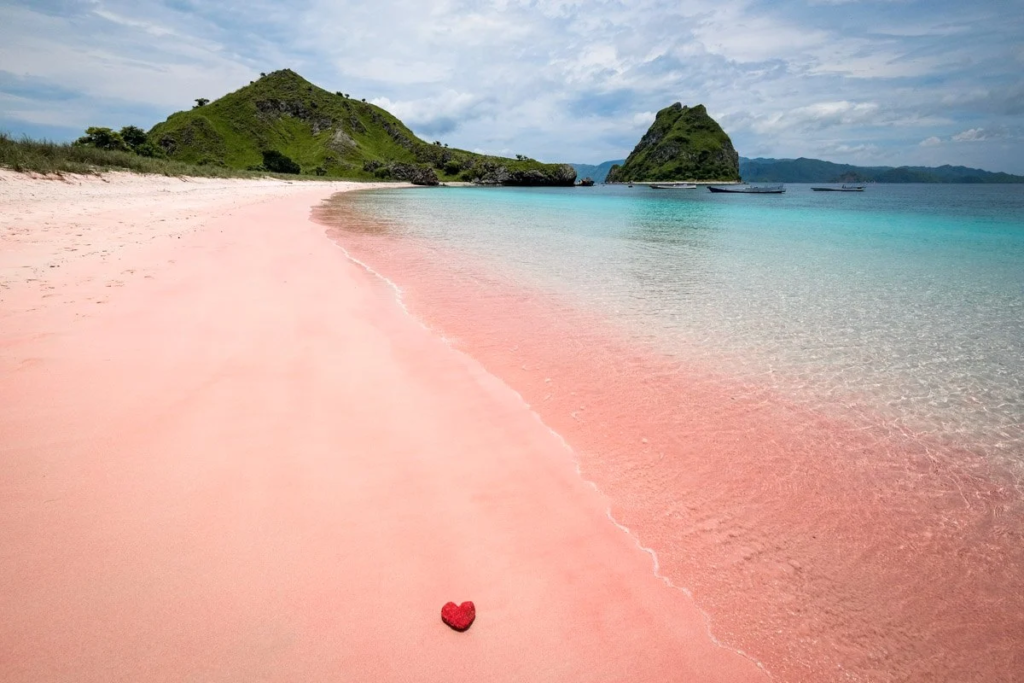 Panduan Lengkap ke Pantai Pink di Indonesia