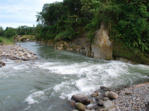 Arung Jeram