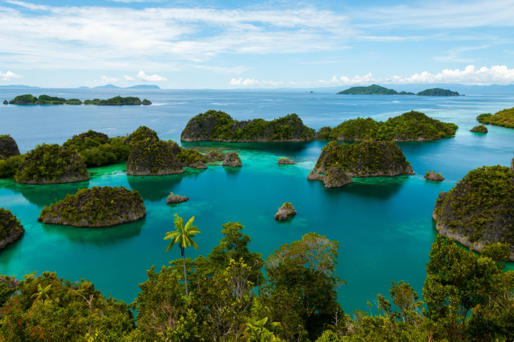 Raja Ampat Keindahan Alam yang Luar Biasa di Ujung Papua