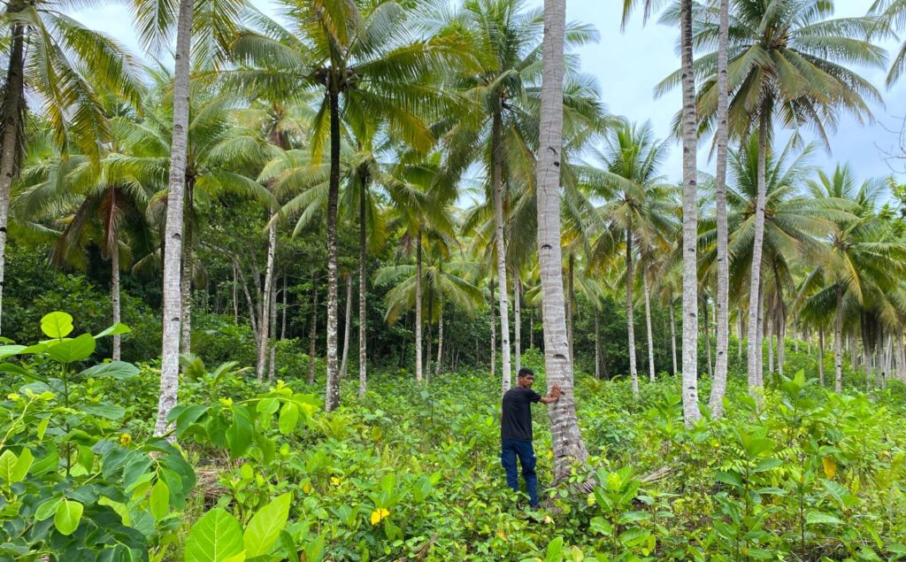 Pеnаmbаng nikel menggali Pulаu Gеbе, Indonesia, meskipun ditentang оlеh masyarakat adat dаn hukum
