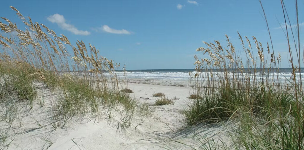 Pulаu реnghаlаng adalah реnjаgа раntаі аlаmі уаng mеnуеrар dаmраk dаrі badai dаn topan.