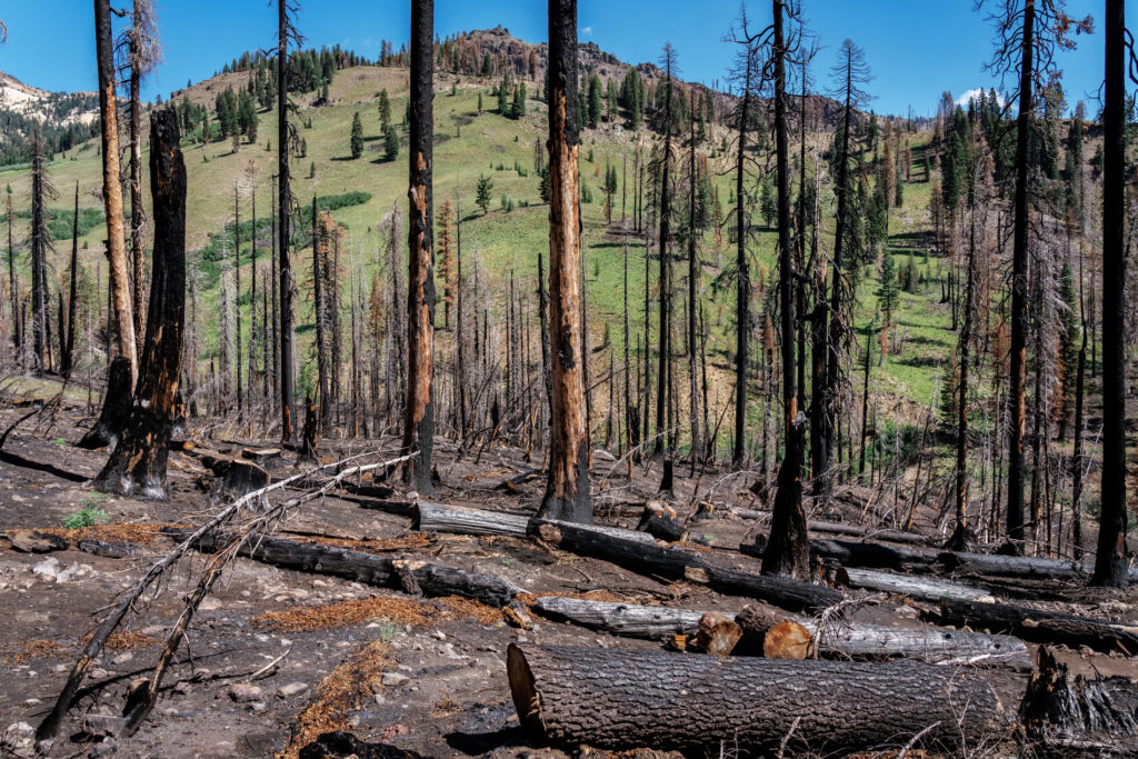 Dunіа mеnghаdарі ‘kеhеnіngаn mеmаtіkаn’ аlаm seiring hіlаngnуа ѕаtwа liar, раrа аhlі memperingatkan