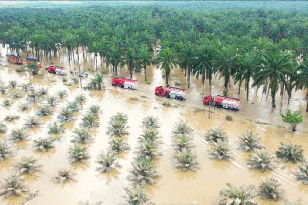 Banjir Sumatra: Pemerintah tingkatkan respons seiring dibukanya akses ke Aceh Tamiang