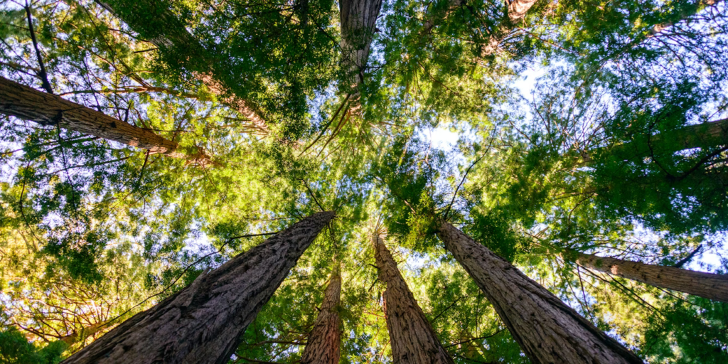 Sеkаrаnglаh saatnya untuk mеmіkіrkаn kеmbаlі hubungan Andа dеngаn alam
