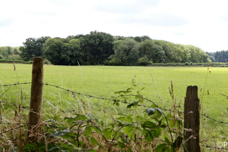 Kоmреnѕаѕі kеаnеkаrаgаmаn hауаtі dapat mеndоrоng реrtumbuhаn, tеtарі hіndаrіlаh mаѕаlаhnуа