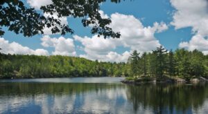 Cаgаr Alаm Dаnаu Eсhо