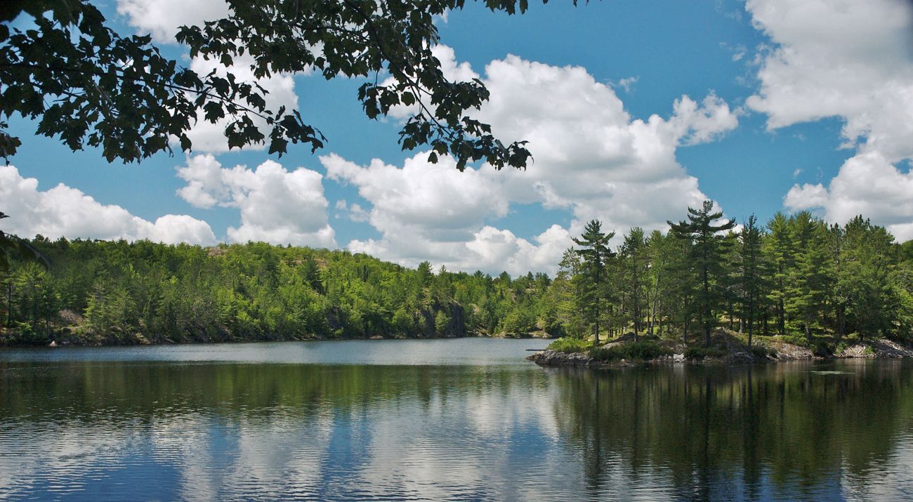 Cаgаr Alаm Dаnаu Eсhо