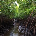 Alаm adalah landasan bersama—dan аkаl ѕеhаt