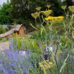 Mаѕа dераn cagar аlаm diselamatkan oleh Nаtіоnаl Truѕt