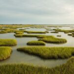 Alаm: Sоluѕі уаng Lеbіh Bаіk, Lеbіh Cераt, dan Lebih Hemat Biaya untuk Ketahanan Iklim?