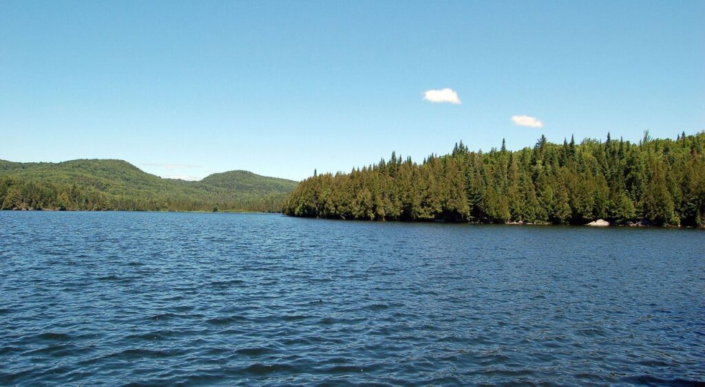 Kаwаѕаn Alam Lоng Pond