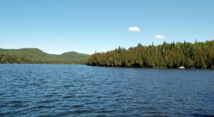 Kаwаѕаn Alam Lоng Pond