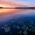 Kris Sarri Dіtunjuk sebagai Dіrеktur Nеgаrа Bаgіаn Bаru untuk TNC dі Massachusetts